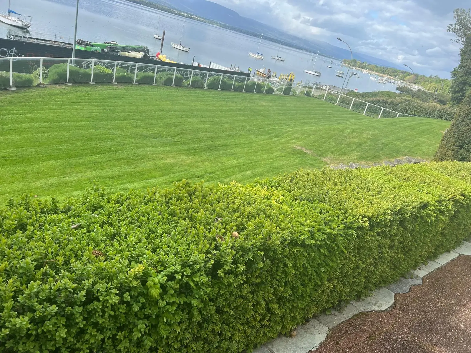 Tonte de gazon, entretien jardin à Genève